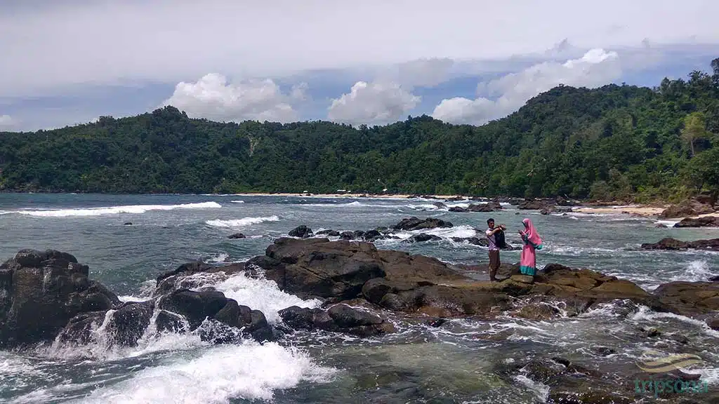 new-coastal-1