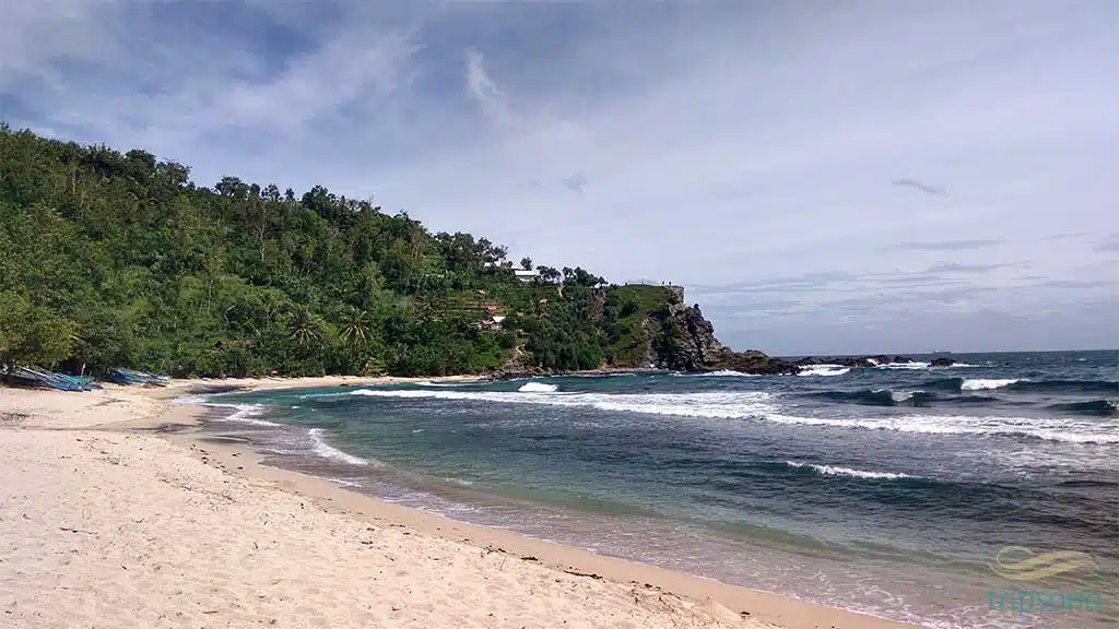 new-coastal-2